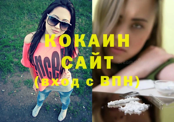 гашик Кинешма